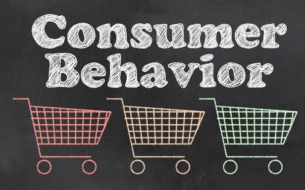 Formulating Customer Service Strategies Based on Consumer Behavior