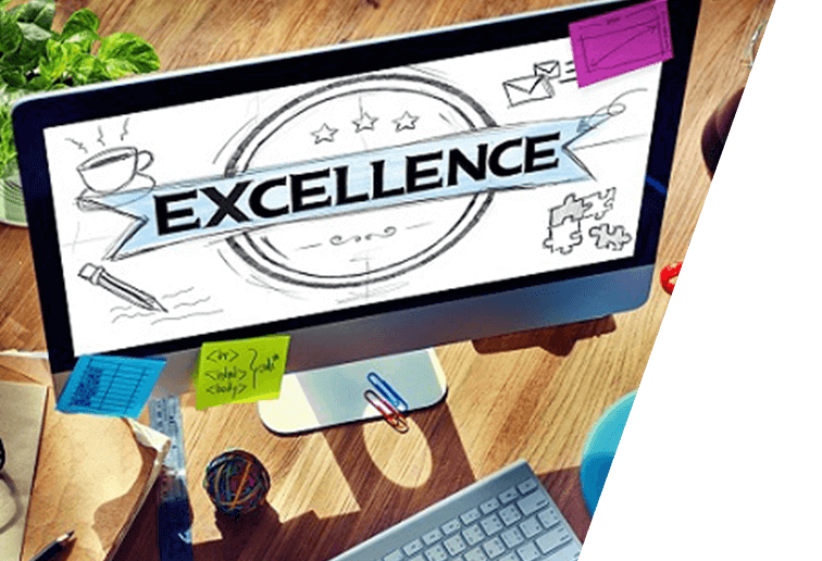 Delivering Service Excellence- Remoik Training and Consulting